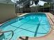 Relaxing kidney-shaped pool with a screened enclosure at 2406 W Orange Blvd, Kissimmee, FL 34741