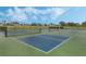 Well-maintained pickleball and tennis courts, perfect for recreational activities at 16208 Magnolia Hill St, Clermont, FL 34714