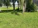 Large grassy backyard with lush tropical landscaping and a pond view at 3635 Daydream Pl, Saint Cloud, FL 34772
