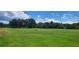 Large grassy lot with mature trees, ideal for building your dream home at 2661 Waccassa St, Geneva, FL 32732