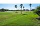 Landscaped golf course with palm trees and a serene lake at 217 Anastasia Dr, Kissimmee, FL 34759