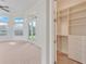 Large walk-in closet with ample shelving and drawers at 9106 Panzani Pl, Windermere, FL 34786