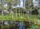 Lakefront view with lush vegetation at 5625 Chipola Cir, Orlando, FL 32839