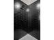 Modern shower with black tile and white grout at 238 E Lakeshore Dr, Clermont, FL 34711