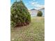 Landscaped backyard with green grass and shrubs at 1347 Heather Lake Dr, Orlando, FL 32824
