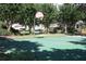 Outdoor basketball court surrounded by trees at 8039 Northlake Pkwy, Orlando, FL 32827