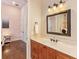 Bathroom with a vanity, mirror, and wood cabinets at 11227 Macaw Ct, Windermere, FL 34786