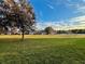 Landscaped lawn with a tree and view of townhomes at 1431 Pacific Rd, Poinciana, FL 34759