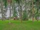 Backyard view of house partially obscured by trees at 16 Cypress Dr, Eustis, FL 32726