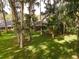 Spacious backyard with lush landscaping and mature trees at 16 Cypress Dr, Eustis, FL 32726