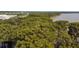 Lakefront property with mature trees and lush landscaping at 16 Cypress Dr, Eustis, FL 32726
