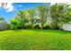 Large grassy backyard with mature trees and a wooden fence at 250 White Marsh Cir, Orlando, FL 32824
