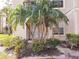 Condo patio with a large palm tree and green bushes at 1916 Lake Atriums Cir # 25, Orlando, FL 32839