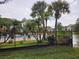 Community pool with palm trees and a black metal fence at 1916 Lake Atriums Cir # 25, Orlando, FL 32839
