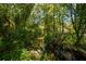 Peaceful creek flows through a tranquil, wooded area on property at 1391 Richmond Rd, Winter Park, FL 32789