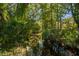 Serene creek meanders through the property's lush, natural landscape at 1391 Richmond Rd, Winter Park, FL 32789