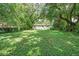 Spacious backyard with mature trees and lush grass at 104 E Mcclendon St, Lady Lake, FL 32159