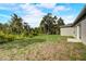 Large backyard with new grass and wooded area at 1308 Hillsborough Ct, Kissimmee, FL 34759