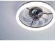 Modern ceiling fan with light fixture at 168 E Sunset St, Groveland, FL 34736