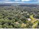 Aerial view of property with surrounding trees at 5311 Shady Oak N Dr, Lakeland, FL 33810