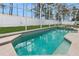 Refreshing pool and spa with screened enclosure and grassy backyard at 808 Oxford Dr, Davenport, FL 33897