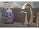 Close-up of a bathroom sink with brushed nickel faucet at 9102 Sommerset Hills Dr, Davenport, FL 33896
