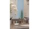 Vanity with a modern faucet and orchid decor at 9102 Sommerset Hills Dr, Davenport, FL 33896