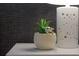 Nightstand with lamp and small potted plant at 9102 Sommerset Hills Dr, Davenport, FL 33896