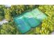 Aerial view of three tennis courts surrounded by trees at 235 Oakdale St, Windermere, FL 34786