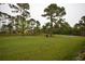 Spacious backyard with grassy area and mature trees at 20797 Racine St, Orlando, FL 32833