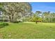 Large grassy backyard with mature trees and a sprawling landscape at 2075 Genova Dr, Oviedo, FL 32765
