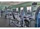Community fitness center with various exercise equipment at 8632 Bridgeport Bay Cir, Mount Dora, FL 32757