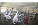 State-of-the-art fitness center with various equipment at 16328 Wind View Ln, Winter Garden, FL 34787