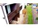 Backyard view of a condo unit with a small fenced patio area at 2649 Crown Ct # 2649, Kissimmee, FL 34741