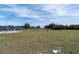 Large grassy dog park with shade structures and seating at 12965 Trovita Dr, Grand Island, FL 32735