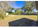 Large backyard with a grassy lawn and mature trees, offering plenty of space at 2811 Vine St, Orlando, FL 32806