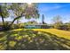 Large backyard with spacious grassy area and mature trees at 2811 Vine St, Orlando, FL 32806