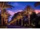 Landscaped entrance with palm trees illuminated at night at 14501 Grove Resort Ave # 1507, Winter Garden, FL 34787