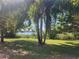Scenic lake view from backyard, lush landscaping, and mature palm trees at 14902 Arrena Rd, Winter Garden, FL 34787