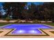 Night view of the pool with surrounding landscape at 5121 Latrobe Dr, Windermere, FL 34786
