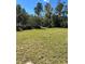 Large backyard with lush green grass at 3402 Sw 165Th Loop, Ocala, FL 34473