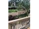 Private patio overlooking a lush green space at 458 Windmeadows St, Altamonte Springs, FL 32701