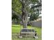 Park bench under a large shade tree at 458 Windmeadows St, Altamonte Springs, FL 32701