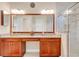 Bathroom with walk-in shower and single vanity at 15716 Panther Lake Dr, Winter Garden, FL 34787