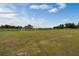 Expansive grassy soccer field with goals at 2749 Flushing Dr, Apopka, FL 32703