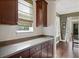 Kitchen features dark wood cabinets and a long countertop at 11542 Brightstowe Way, Orlando, FL 32836
