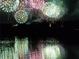 Spectacular fireworks display reflecting on a calm lake at night at 11542 Brightstowe Way, Orlando, FL 32836