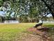 Scenic lakeside view with a park bench under a tree at 50 Sheoah Blvd # 34, Winter Springs, FL 32708