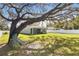 Spacious backyard with a large tree at 1780 Grand Oak Dr, Apopka, FL 32703