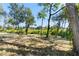 Large backyard with lush vegetation at 4190 Rossmore Dr, Orlando, FL 32810